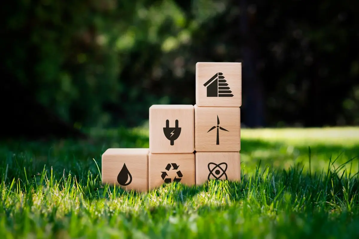 Accompagnement franchise Zélo