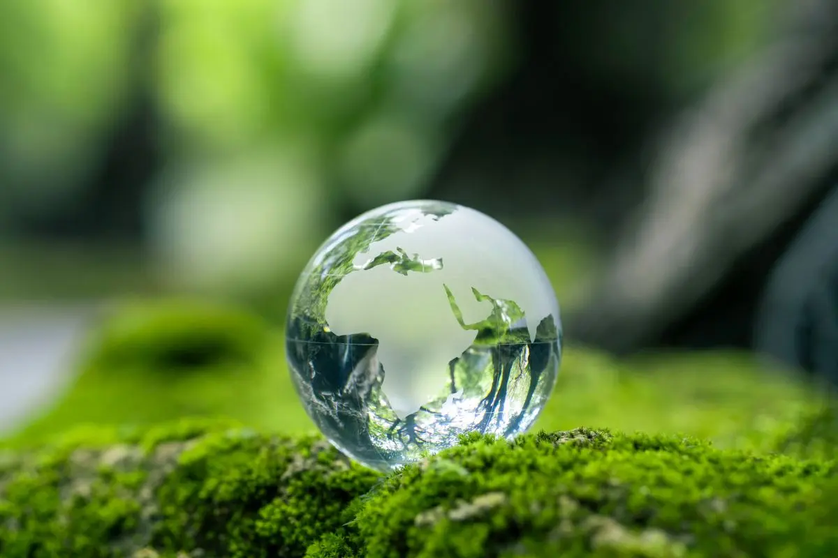 Franchise Zélo - ouverture d'une région